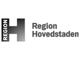 region-hovedstaden-logo